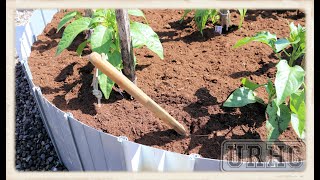 Garden 2021 Part8 My New Spork And Mulching With Peat Moss