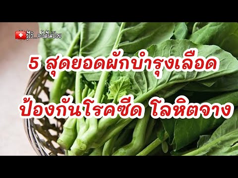 5 สุดยอด ผักบำรุงเลือด ป้องกันโรคซีด โลหิตจาง