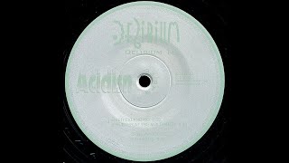 Acidisn - Phunter At The Moleparty (Acid Techno 1994)