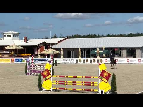 Liryka (Kannan x Livello) 2019/09/06 I półfinał SCMK Olsza - 115cm I SPRZEDANA / SOLD
