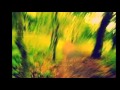 Midnight Sun         Brian Culbertson