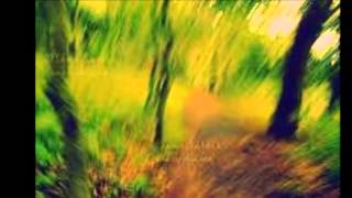 Midnight Sun         Brian Culbertson