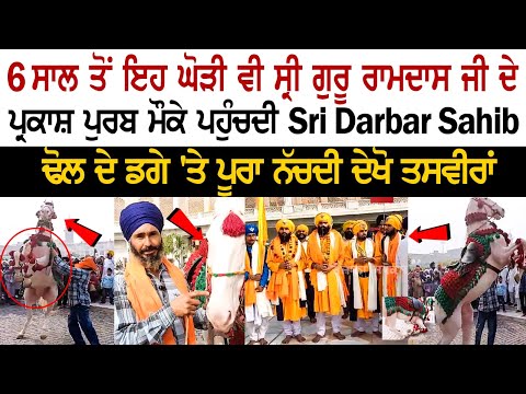 Amritsar LIVE | 6 Yrs ਤੋਂ ਘੋੜੀ ਵੀ ਸ੍ਰੀ ਗੁਰੂ ਰਾਮਦਾਸ ਜੀ ਦੇ ਪ੍ਰਕਾਸ਼ ਪੁਰਬ ਮੌਕੇ ਪਹੁੰਚਦੀ Sri Darbar Sahib..
