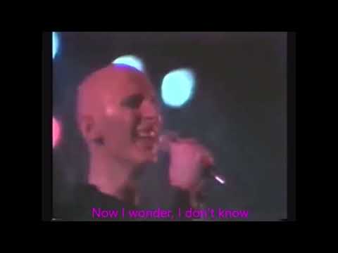 Classix Nouveaux - Every Home Should Have One - Lyric Video (LIVE)