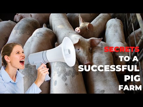 , title : 'The Secret To A Perfect Pig Farm Business'