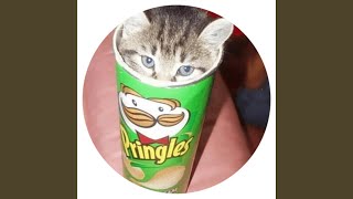 pringles Music Video