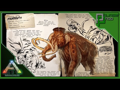Ark Basics Mammoth - BEST WOOD GATHERING MOUNT - EVERYTHING YOU NEED TO KNOW