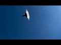 F 35 Sonic Boom
