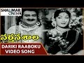Nartanasala Movie Dariki Raaboku Video Song NTR Savitri Shalimarcinema