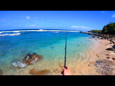 Eating Whatever I Catch on Hawaiian Beaches (Surfer Edition)