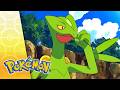 Cutting The Ties That Bind POKÉMON FULL EPISODE 18 Season 9