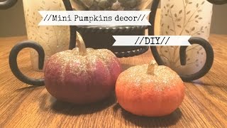 Painted Mini Pumpkins DIY