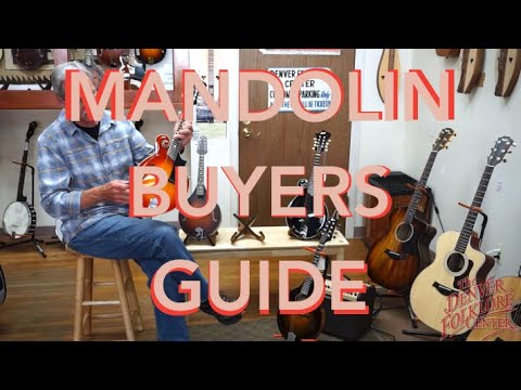 Mandolin 101: Buyer's Guide