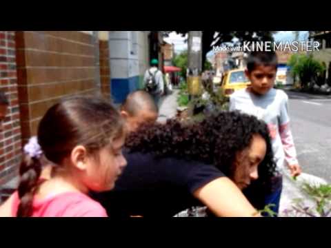 Partes de las plantas, exploración flora - NIÑOS