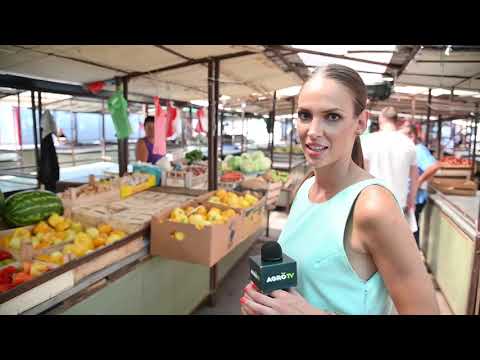 Ceger ep.05 - Pijaca u Borči - 02.09.2019.