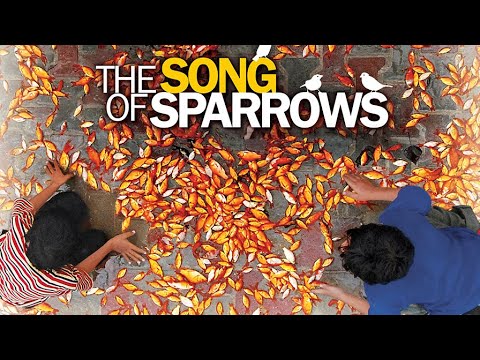 The Song of Sparrows - Full Movie