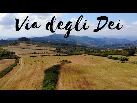 VIA DEGLI DEI: Guida Completa al Cammino da Bologna a Firenze