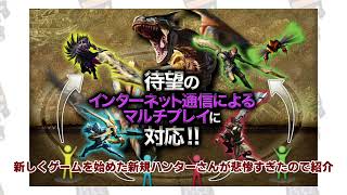 【MH4G】インターネット修了でどうなるのか