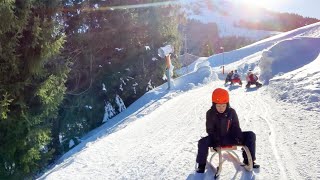 Самые длинные санные трассы Австрии