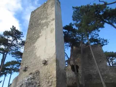 4/5 - Wanderung MÖDLING - noch ein Sprung hinauf zur Burgruine MÖDLING!