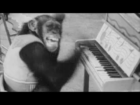 The Fresh Bananas - Slide Monkey