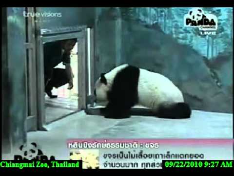 220910 Last day of Keeper Boong & Linping 3.avi