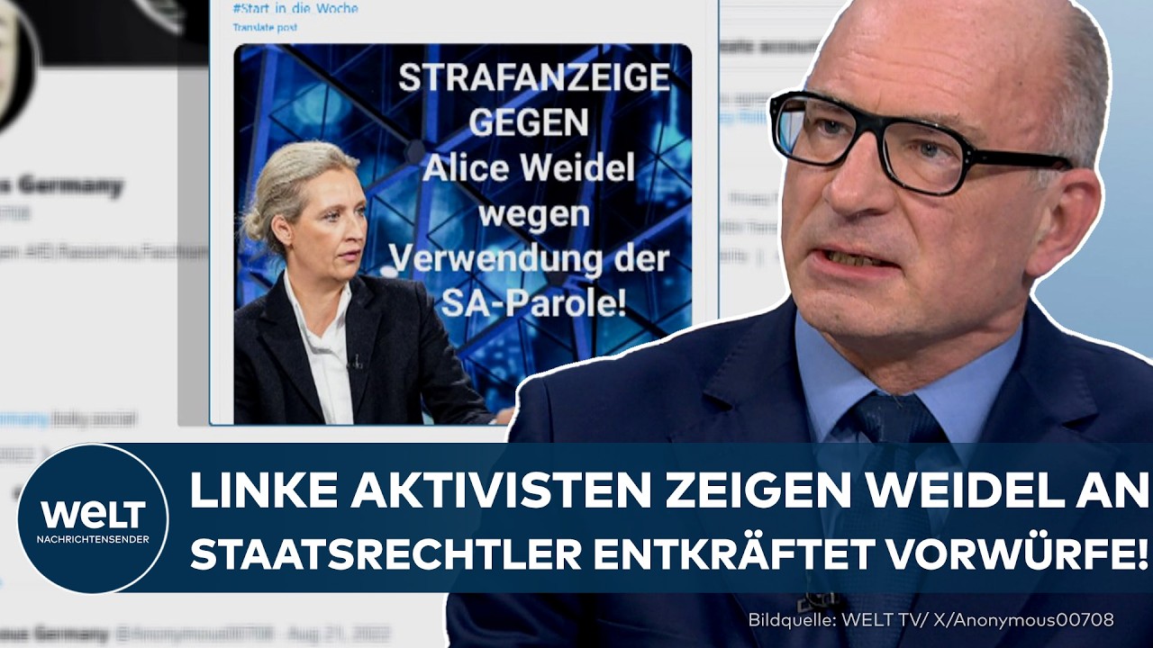 AFD: Linke Aktivisten zeigen Weidel wegen SA-Parole an! Staatsrechtler entkräftet Vorwürfe!