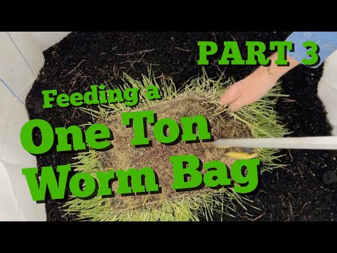 One Ton Worm Casting Bag | Part 3