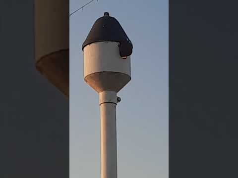 aln 663 020 in transito ad un passaggio a livello nelle campagne nei pressi di luzzara