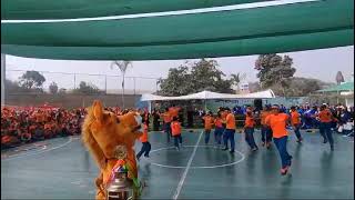 Drill 2025 orange hsp