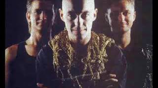 Shriekback- Faded Flowers Live