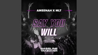 Say You Will
