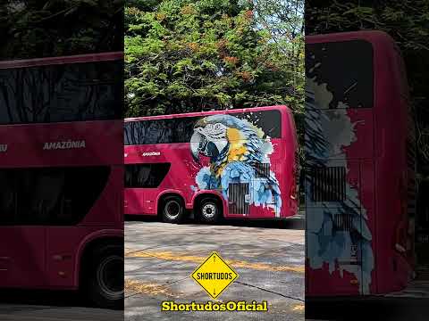 EUCATUR E EXPRESSO ADAMANTINA NO TERMINAL DO TIETÊ #shortudosoficial #short #ônibus #saopaulo #bus