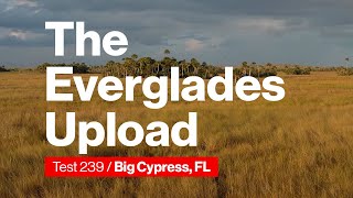 Verizon Test 239 - The Everglades Upload | Test Force Miami