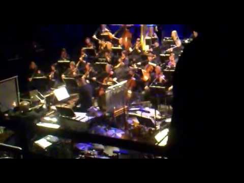 The Norwegian Radio Orchestra