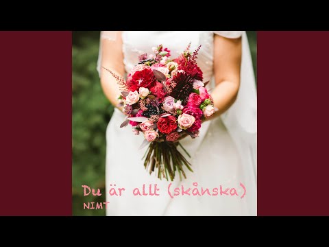 Du är allt (skånska)