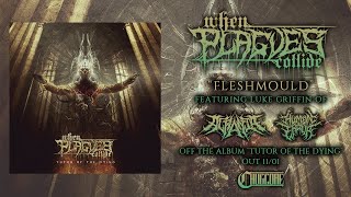 When Plagues Collide - Fleshmould [ft. Luke Griffin of Acrania] (2018) Chugcore Exclusive