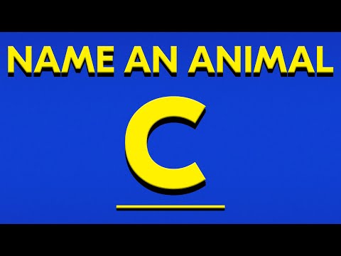 WORD ASSOCIATION GAME #3 🤯 ABC SPEED QUIZ 📝 Alphabet Quiz Challenge
