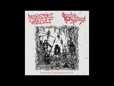Prehistoric War Cult / Secret Tongues - Split (2022)