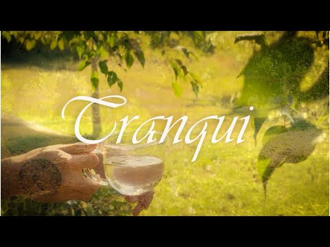 Tranqui - LMental | Video Oficial