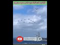 Fighter Jets हमेशा Formation में ही क्यों उड़ते हैं Sh