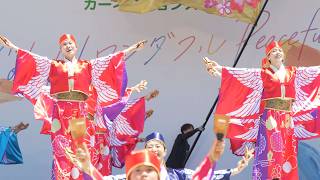 [4K] 踊り陣 叶和『翼』 (中央)