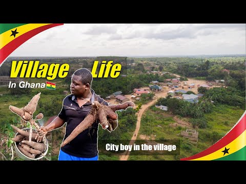 The Taste Of Typical African Village Life Routine Farming And Cooking Favourite Ghanaian Food FuFu