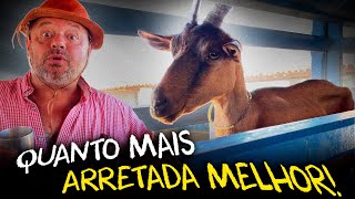 Miniatura do vídeo