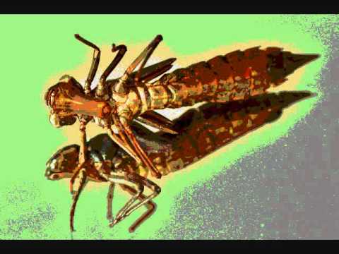 Alien insects - Sound effects
