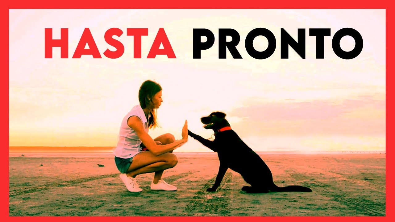 Dónde van nuestras mascotas cuando mueren?