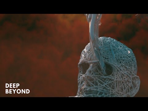 Charlotte de Witte - Form