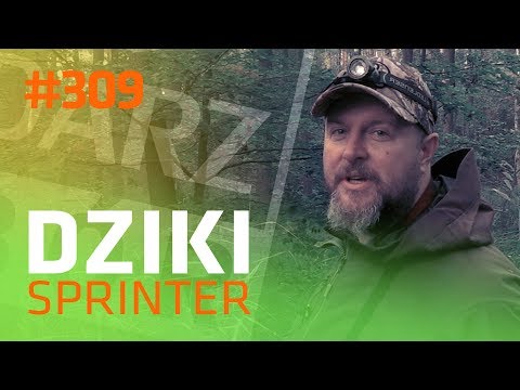 Darz Bór odc 309 - Dziki sprinter