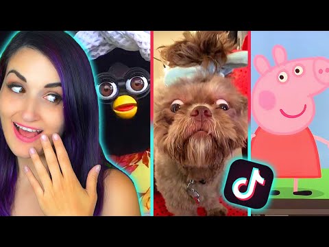 TIK TOK Memes That Are Actually FUNNY 7