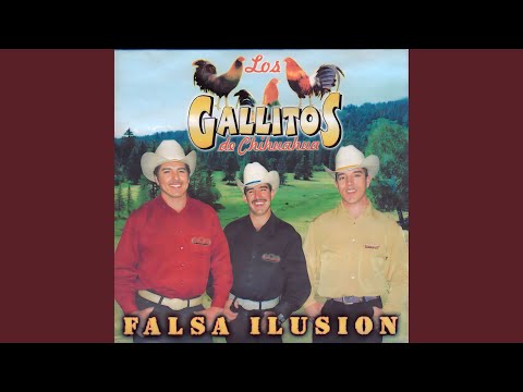 Falsa Ilusion
